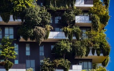 Corso Introduttivo alla BioArchitettura